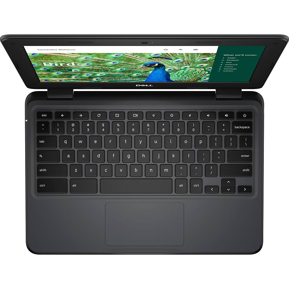 Sure, here is the corrected and grouped text from the image:

**Top Screen:**
- Samantha Williams
- CHAMPION 1
- Birds
- What we'll cover:
  - Introduction
  - Peacock
  - Peacock
  - Peacock
  - Peacock

**Keyboard:**
- esc
- tab
- 1 2 3 4 5 6 7 8 9 0 -
- q w e r t y u i o p
- a s d f g h j k l ;
- z x c v b n m , . /
- shift
- ctrl
- alt
- backspace
- enter
- shift
- alt
- ctrl

**Bottom Screen:**
- Dell