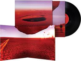 Willie Peyote - Anatomia Di Uno Schianto Prolungato - VINYL LP