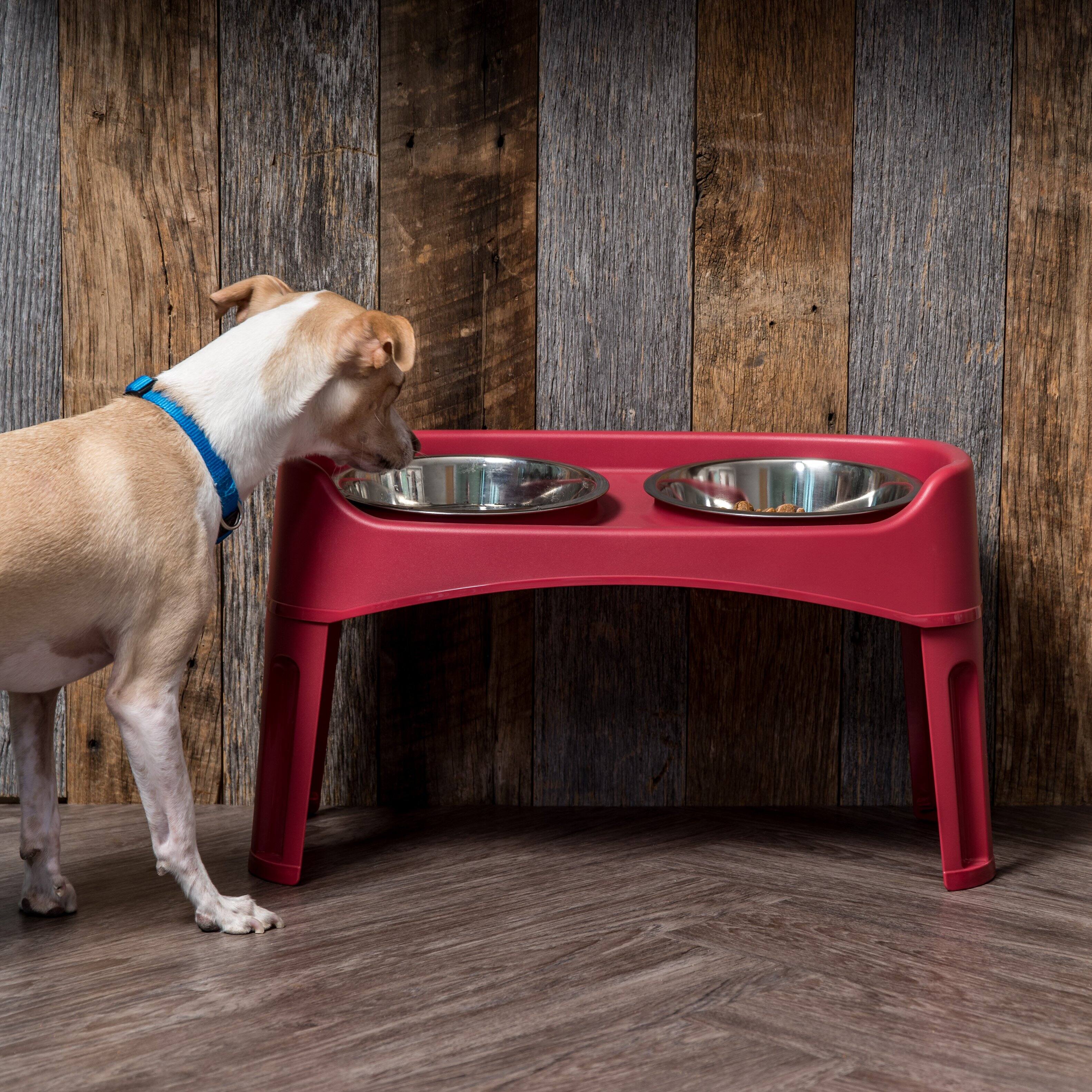 Alt View 2. IRIS USA - IRIS USA Elevated Dog Bowls, Adjustable Height, 2 Thick 64 oz Stainless Steel Bowls - Red.