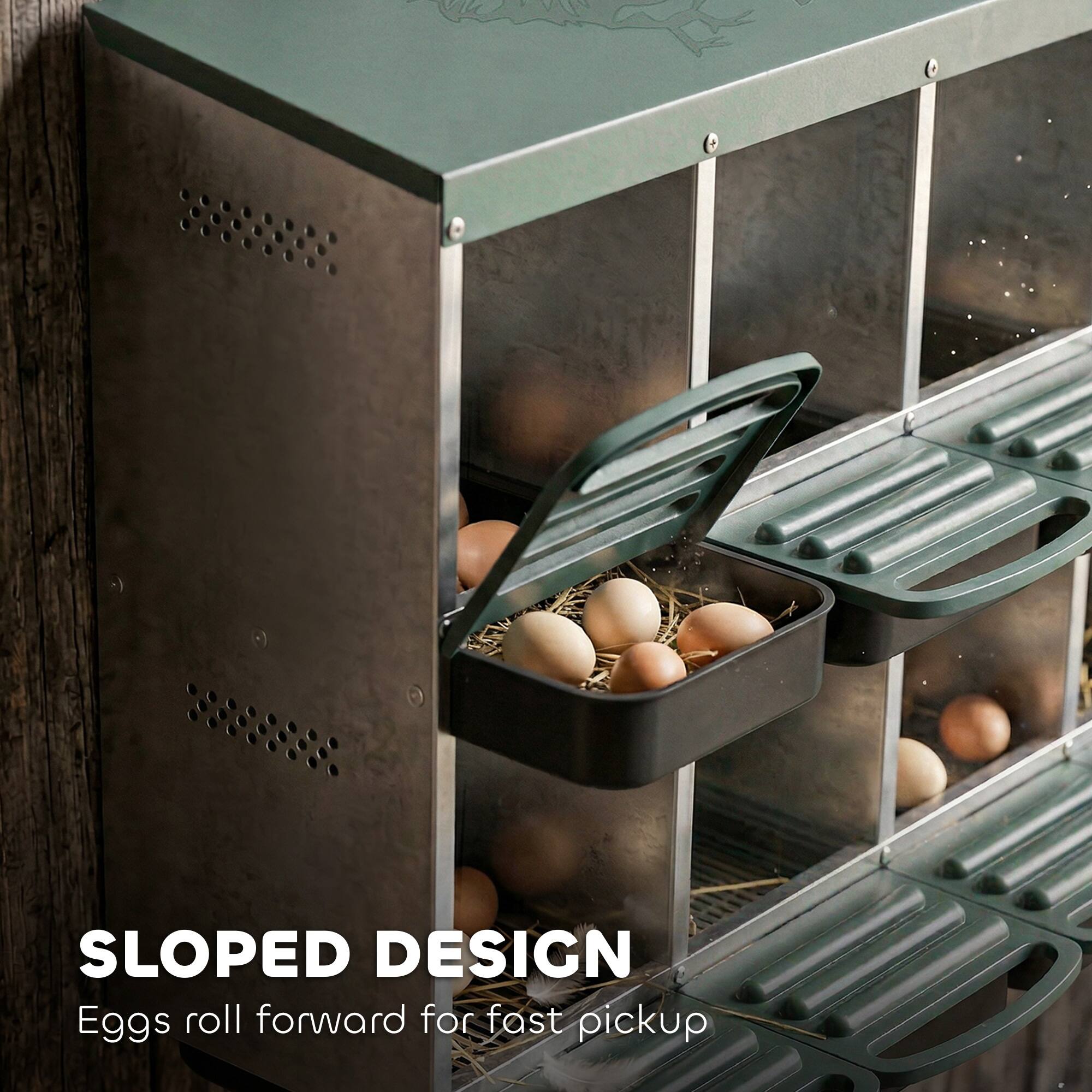 SLOPED DESIGN  
Eggs roll forward for fast pickup