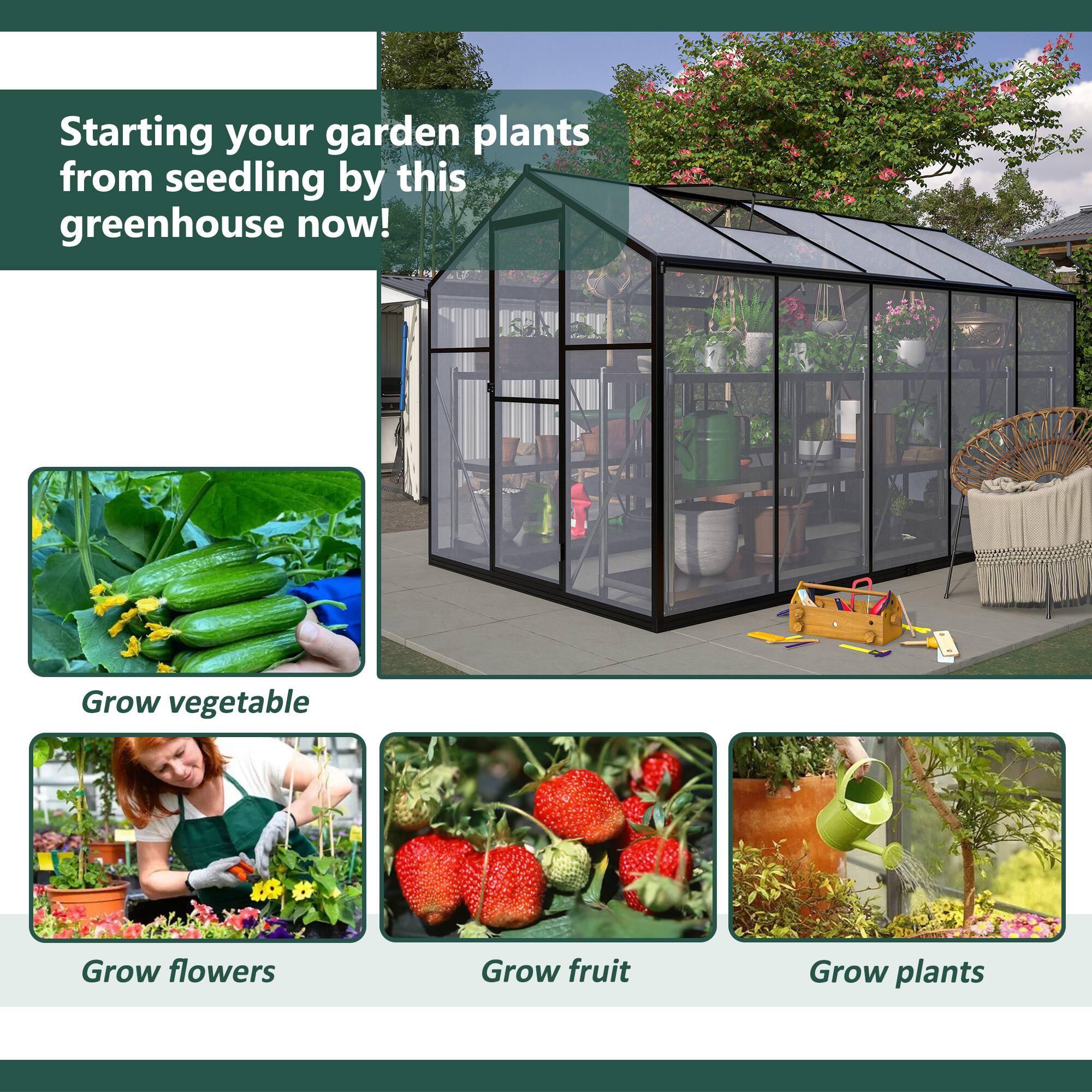 Starting your garden plants from seedling by this greenhouse now!  
Grow vegetable  
Grow flowers  
Grow fruit  
Grow plants