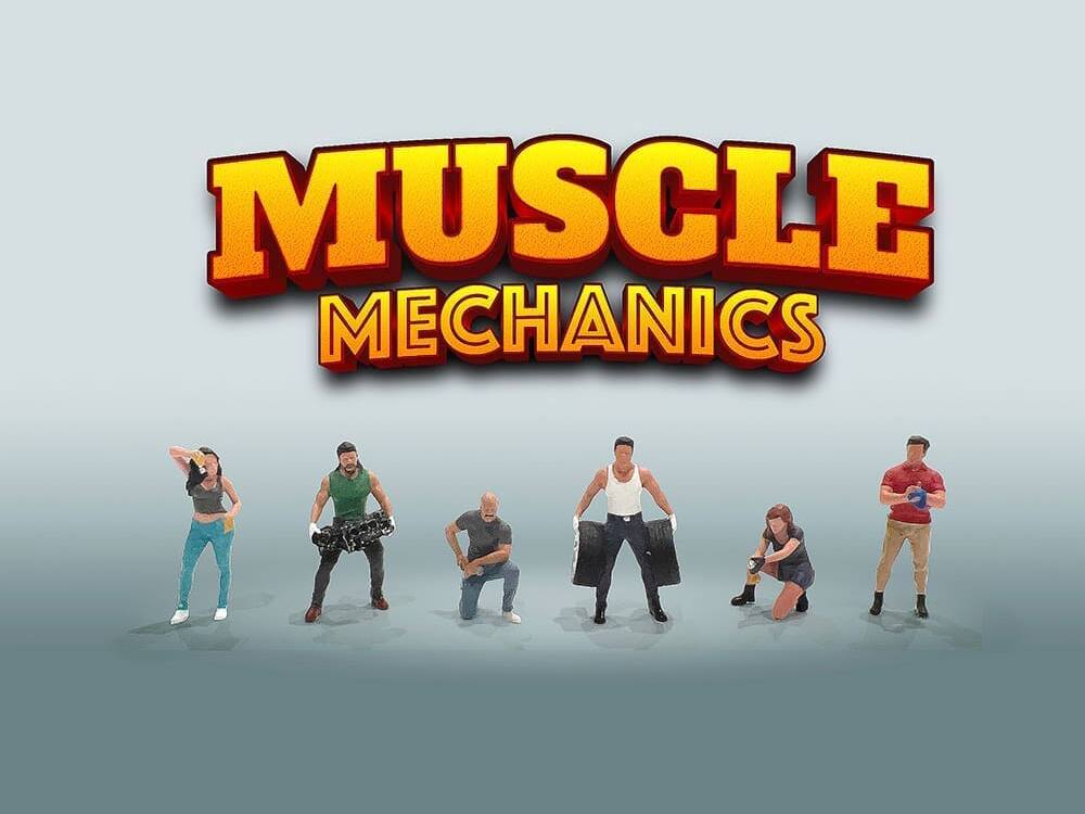 MUSCLE MECHANICS