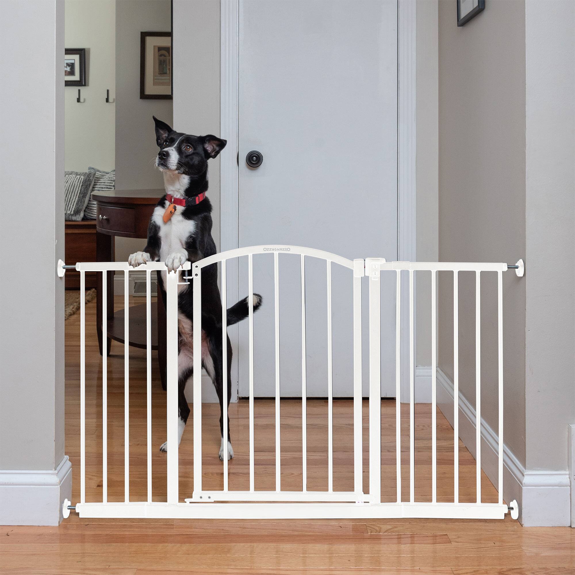 Alt View 1. Ingenuity - Ingenuity Ozzy & Kazoo 27” Tall Walk Through Dog Gate For Doorway or Stairway.