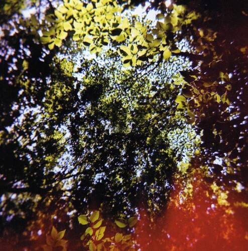 Front. Hisato Higuchi - Butterfly Horse Street   - COMPACT DISCS.