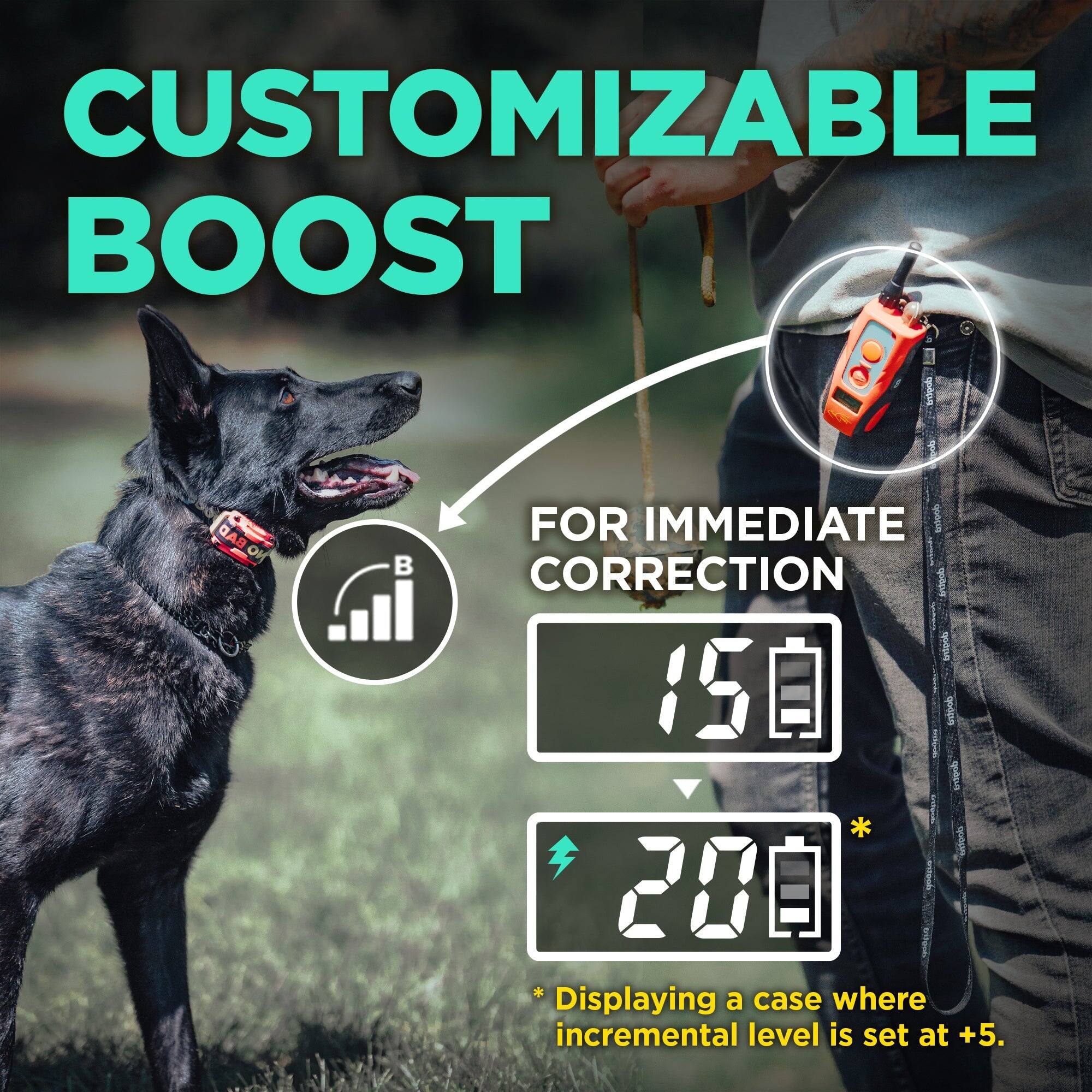 CUSTOMIZABLE BOOST

FOR IMMEDIATE CORRECTION

15

20

*Displaying a case where incremental level is set at +5.