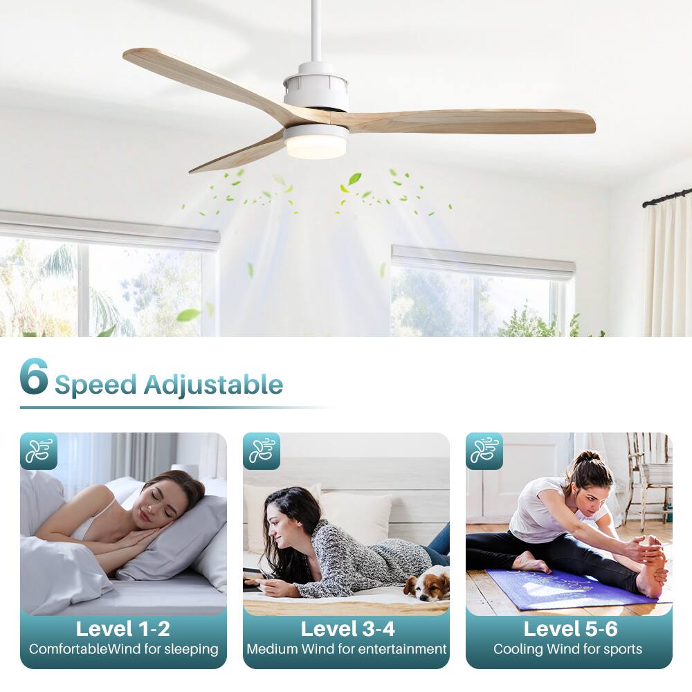 6 Speed Adjustable

Level 1-2  
Comfortable Wind for sleeping

Level 3-4  
Medium Wind for entertainment

Level 5-6  
Cooling Wind for sports