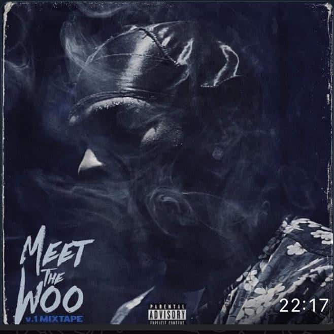 Meet the Woo, Vol. 1 [LP] VINYL - Best Buy