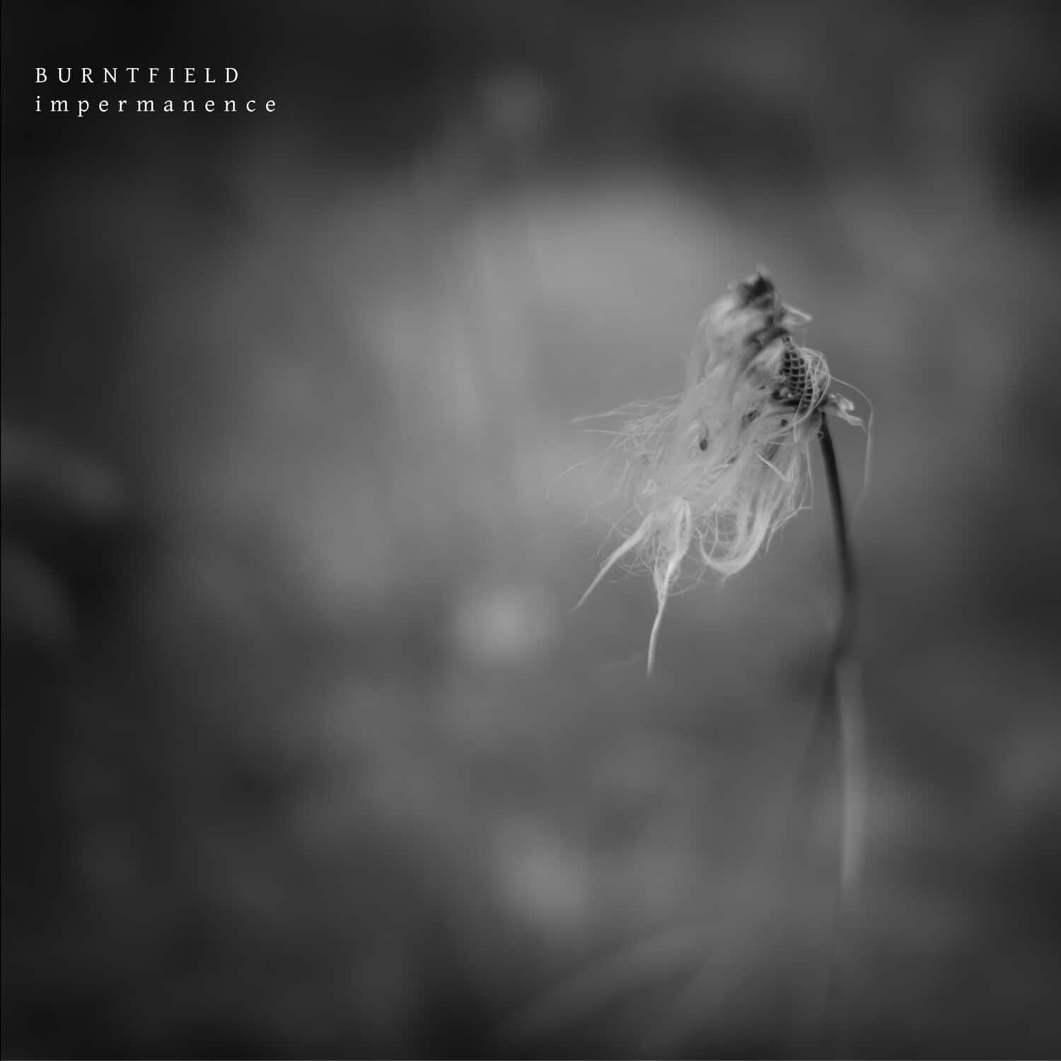 Burntfield - Impermanence   - COMPACT DISCS [CD] price history on PriceWatchPro