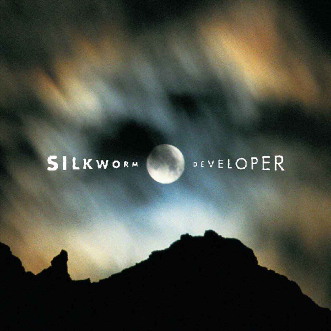 Developer [LP] [VINYL] price history on PriceWatchPro