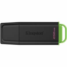 Kingston 256GB