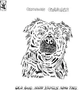 Common Grackle - Old Dog New Tricks Who This - VINYL LP