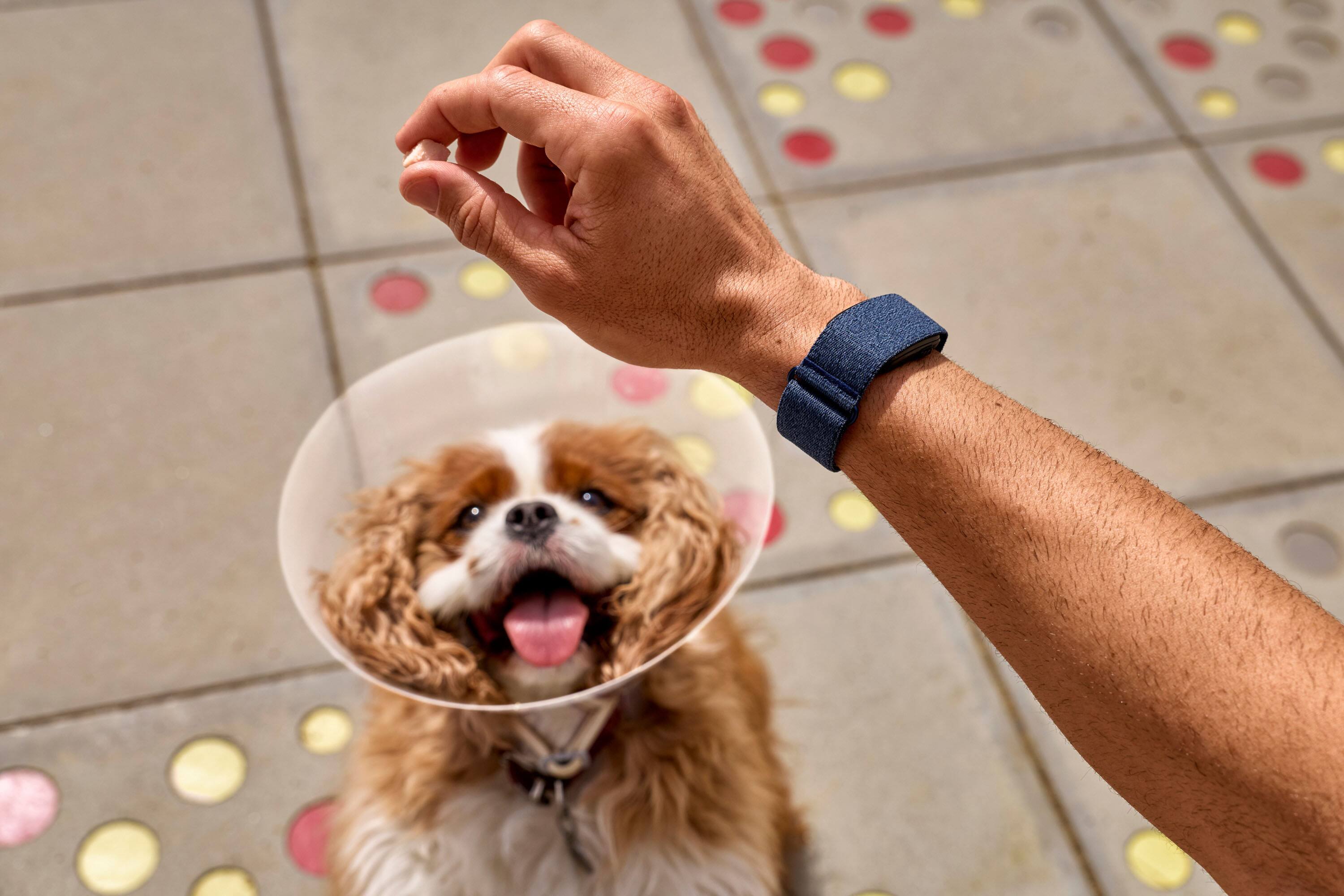 Alt View 13. Garmin - CIRQA Smart Band, Adjustable Black, S-M - Black.