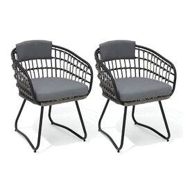 Crestlive Products - Set of 2 Brown Metal Frame Stationary Dining Chair Gray PE Rattan Wicker Cushioned Seat - Gray-2PC