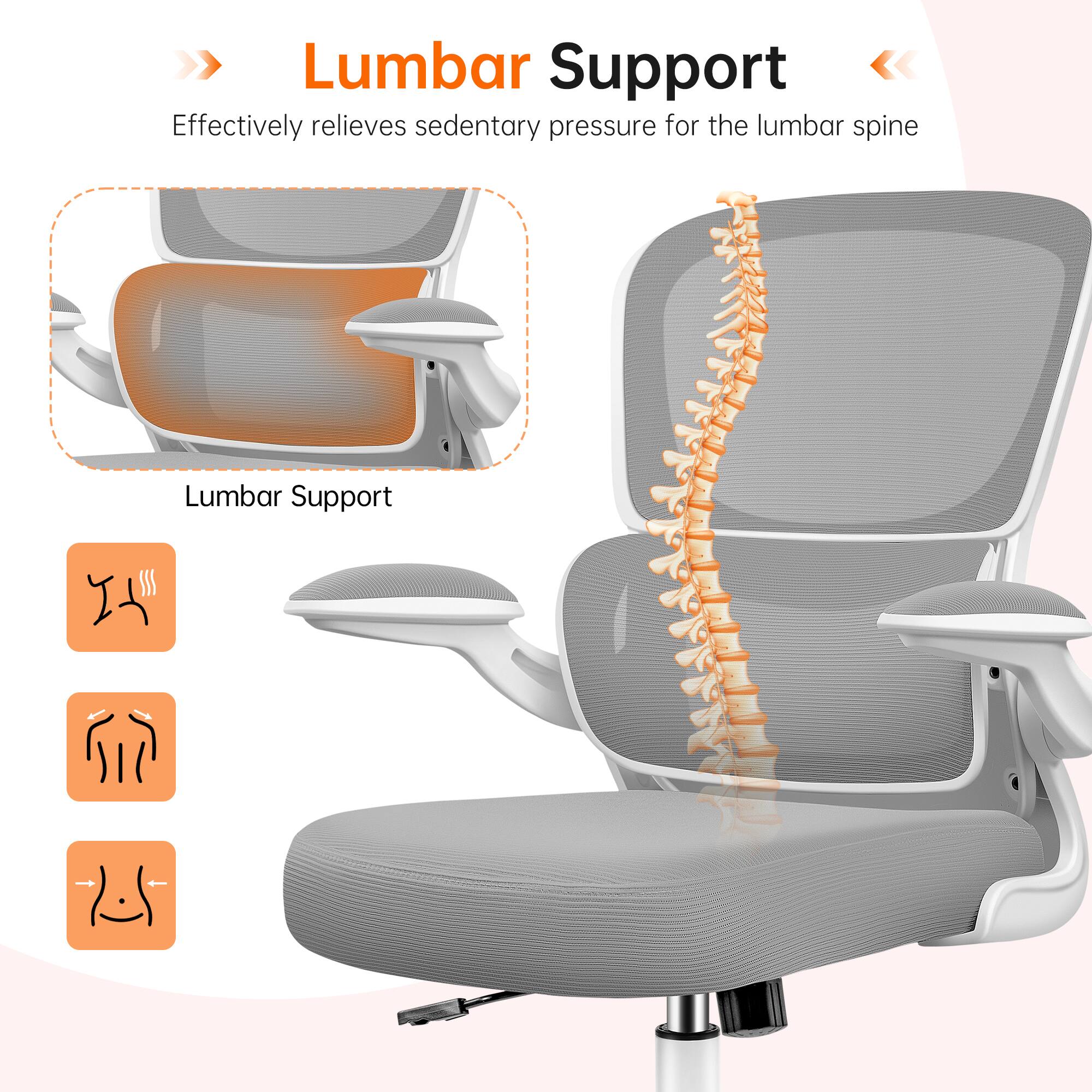 Lumbar Support  
Effectively relieves sedentary pressure for the lumbar spine