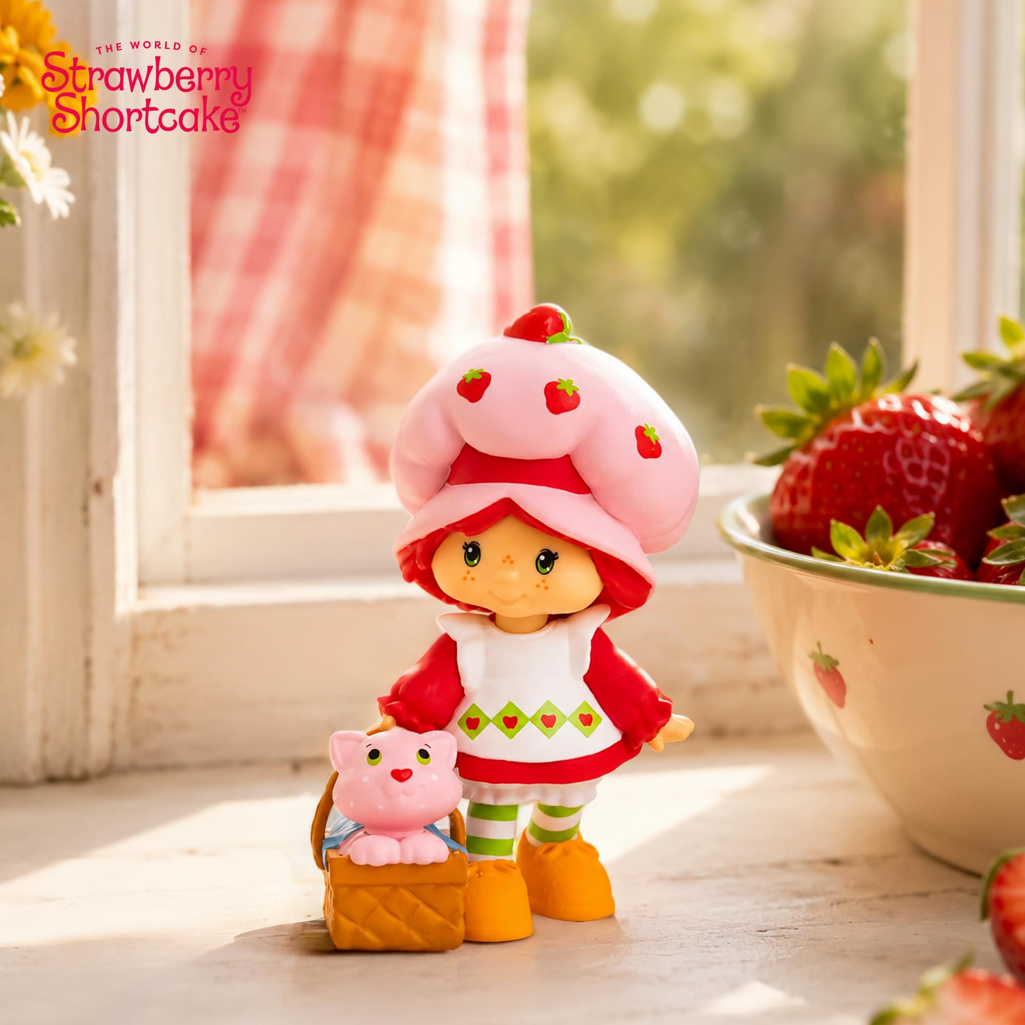 The World of Strawberry Shortcake