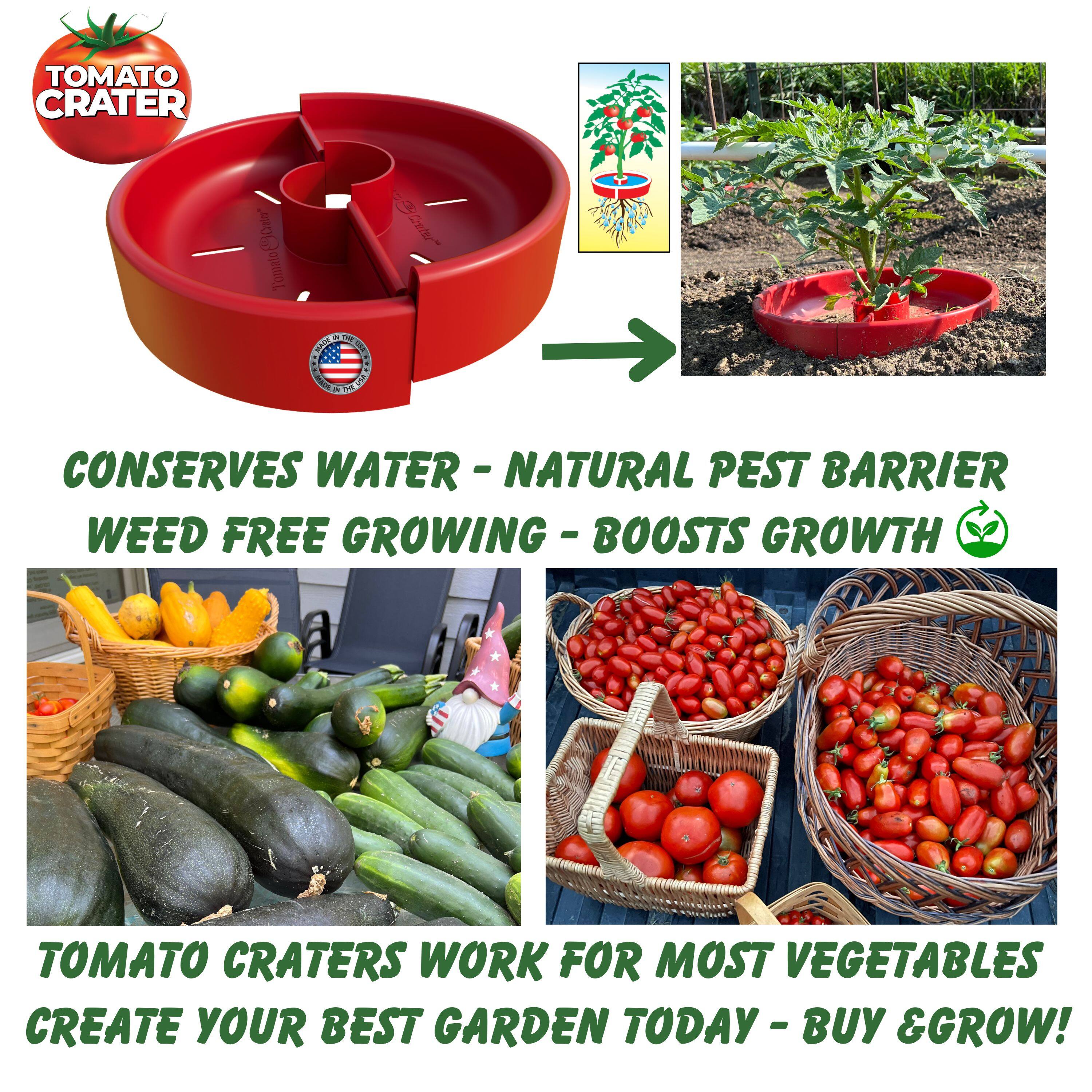 TOMATO CRATER

CONSERVES WATER - NATURAL PEST BARRIER  
WEED FREE GROWING - BOOSTS GROWTH

TOMATO CRATERS WORK FOR MOST VEGETABLES  
CREATE YOUR BEST GARDEN TODAY - BUY & GROW!