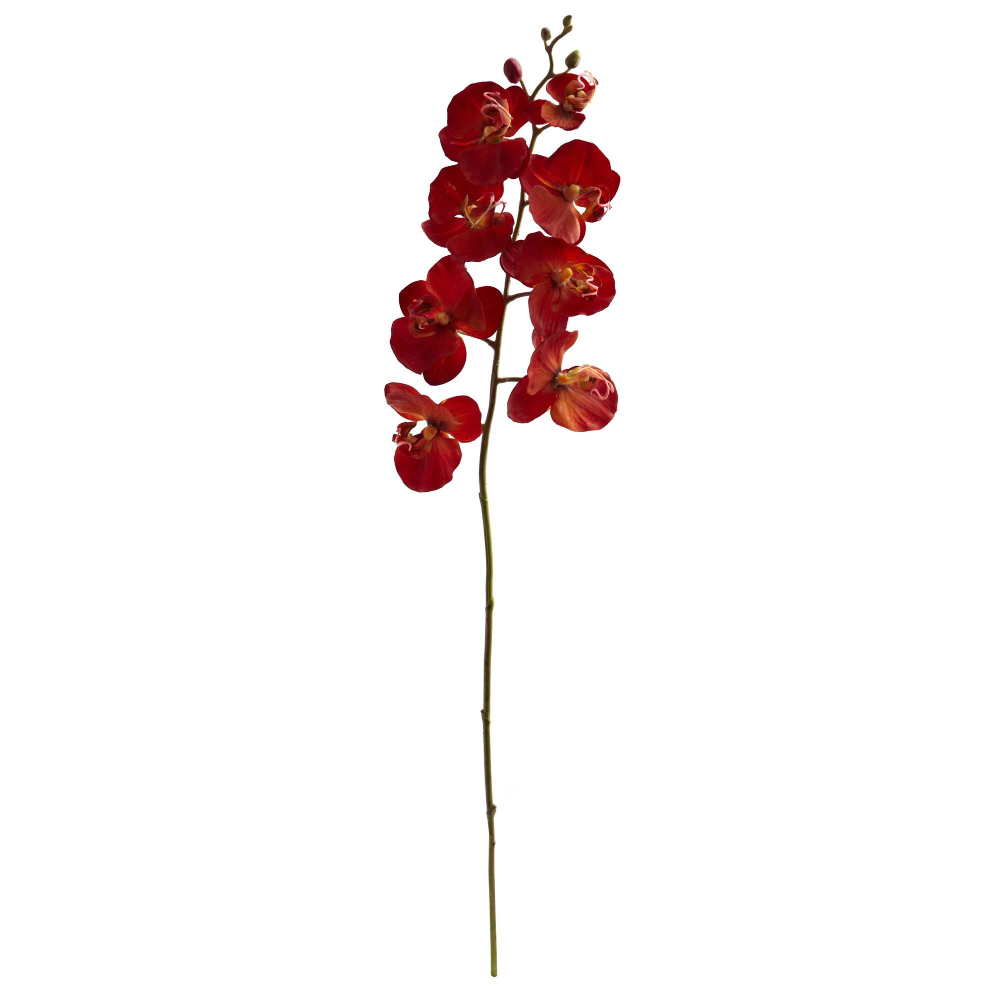 Front. BreeBe - 30" Autumn Phalaenopsis Artificial Flower (Set of 6) - Red.