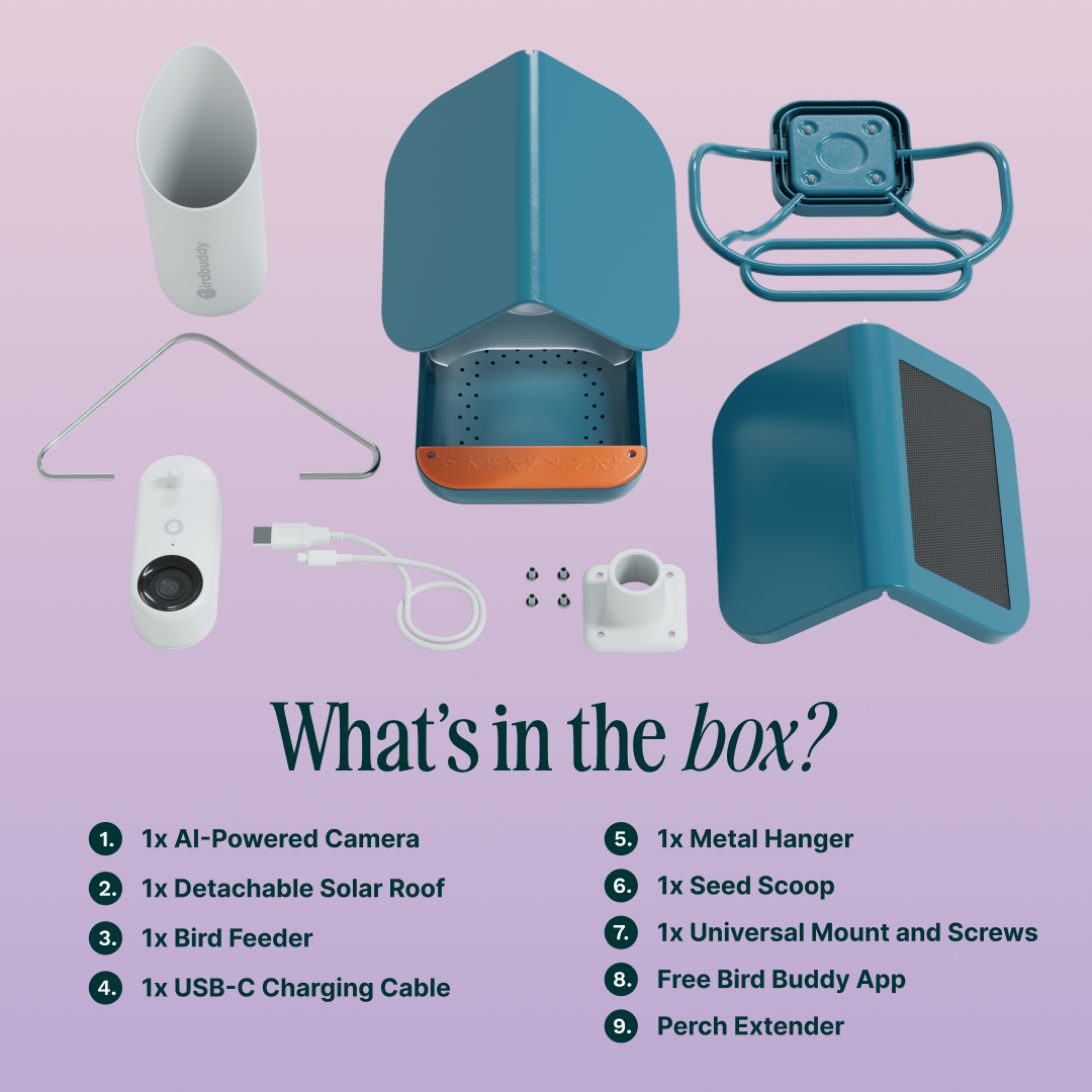 @irdbuddy What's in the box?
1. 1x Al-Powered Camera
2. 1x Detachable Solar Roof
3. 1x Bird Feeder
4. 1x USB-C Charging Cable
5. 1x Metal Hanger
6. 1x Seed Scoop
7. 1x Universal Mount and Screws
8. Free Bird Buddy App
9. Perch Extender