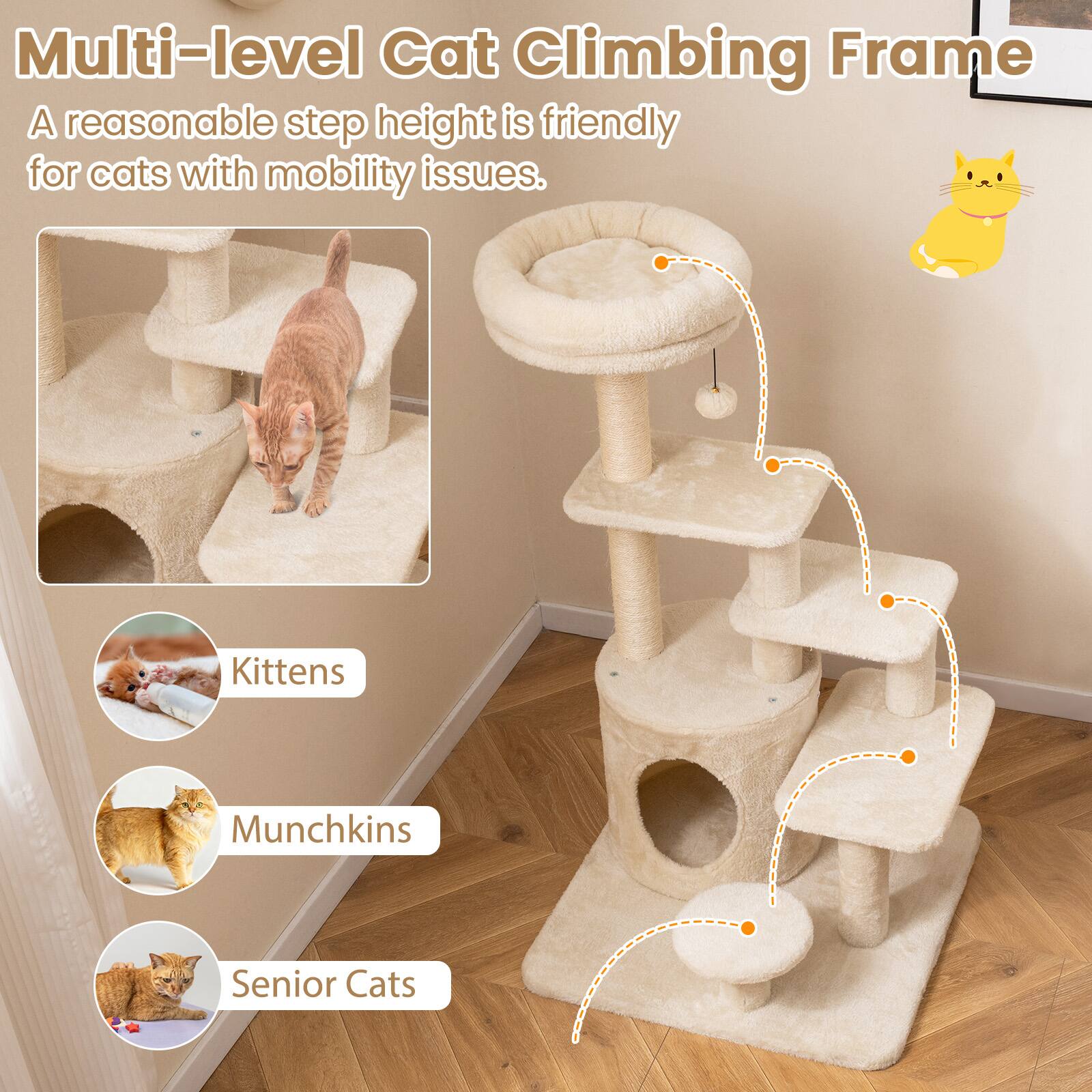 Multi-level Cat Climbing Frame  
A reasonable step height is friendly for cats with mobility issues.  

Kittens  
Munchkins  
Senior Cats
