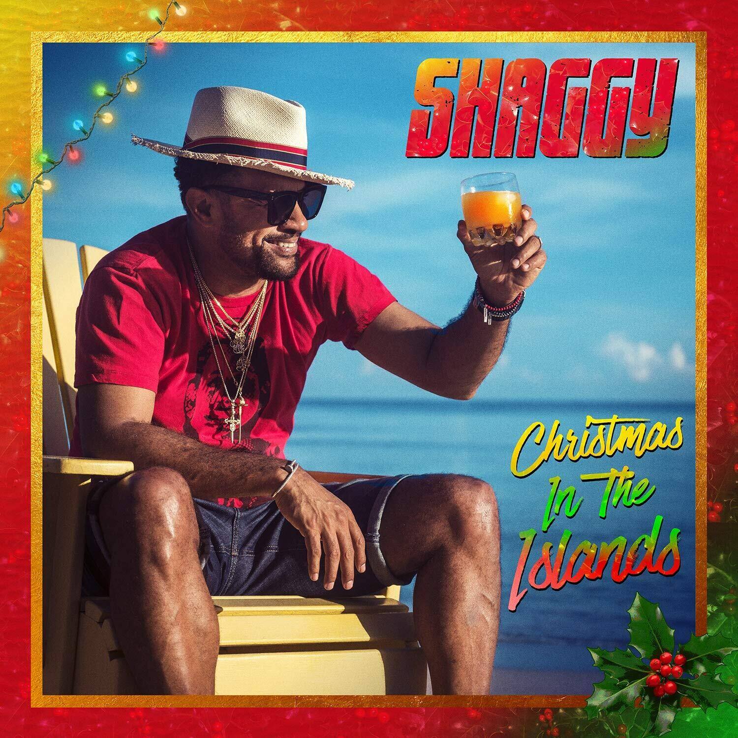 Shaggy - Christmas In The Islands   - VINYL LP price history on PriceWatchPro