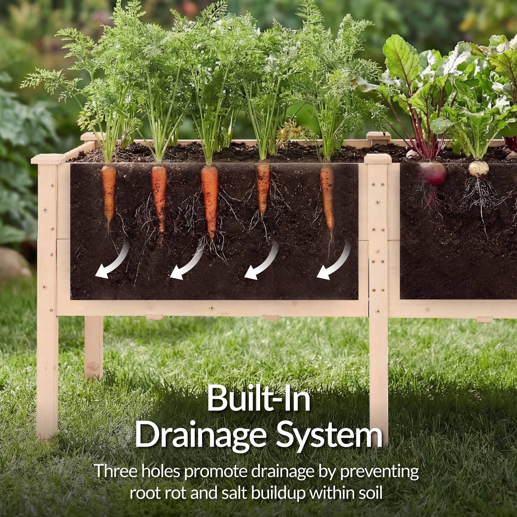 Built-In Drainage System  
Three holes promote drainage by preventing root rot and salt buildup within soil