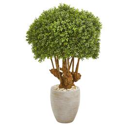 BreeBe - 41" Boxwood Topiary Tree in Planter (Indoor/Outdoor) - Multicolor