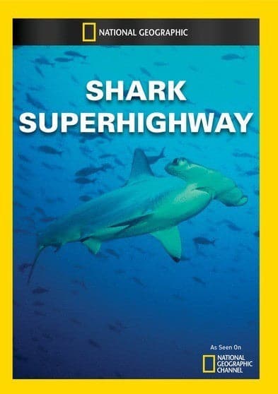 Shark Superhighway - DVD