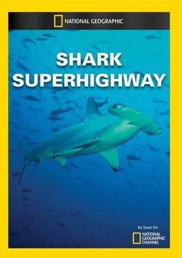 Shark Superhighway - DVD
