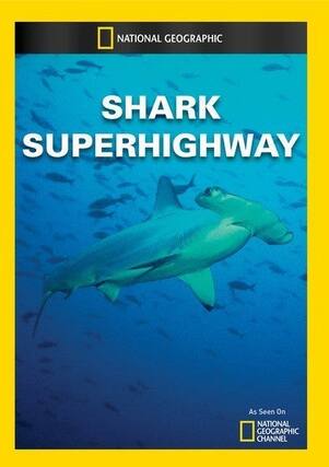 Front. Shark Superhighway - DVD.