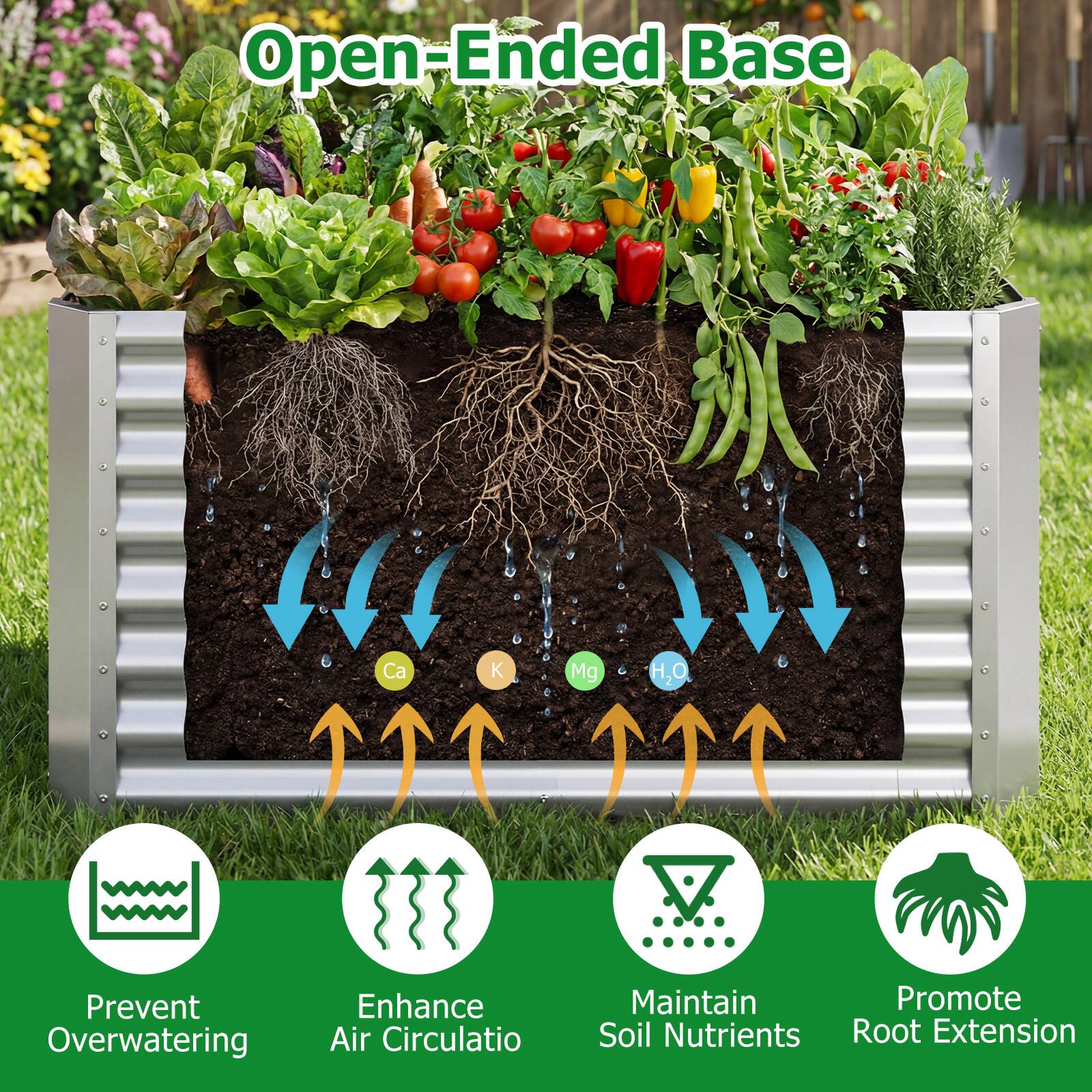 Open-Ended Base

- Prevent Overwatering
- Enhance Air Circulation
- Maintain Soil Nutrients
- Promote Root Extension