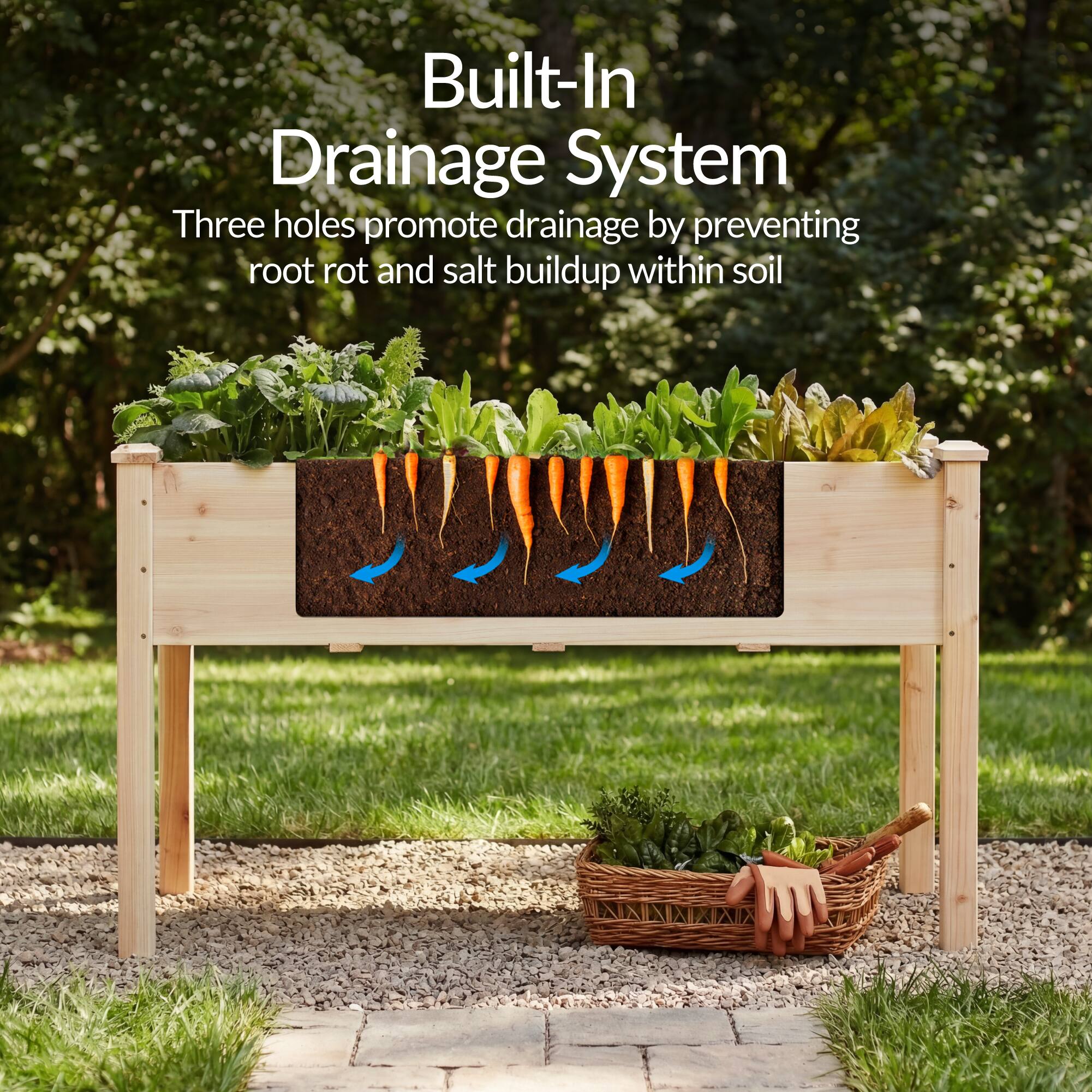 Built-In Drainage System  
Three holes promote drainage by preventing root rot and salt buildup within soil