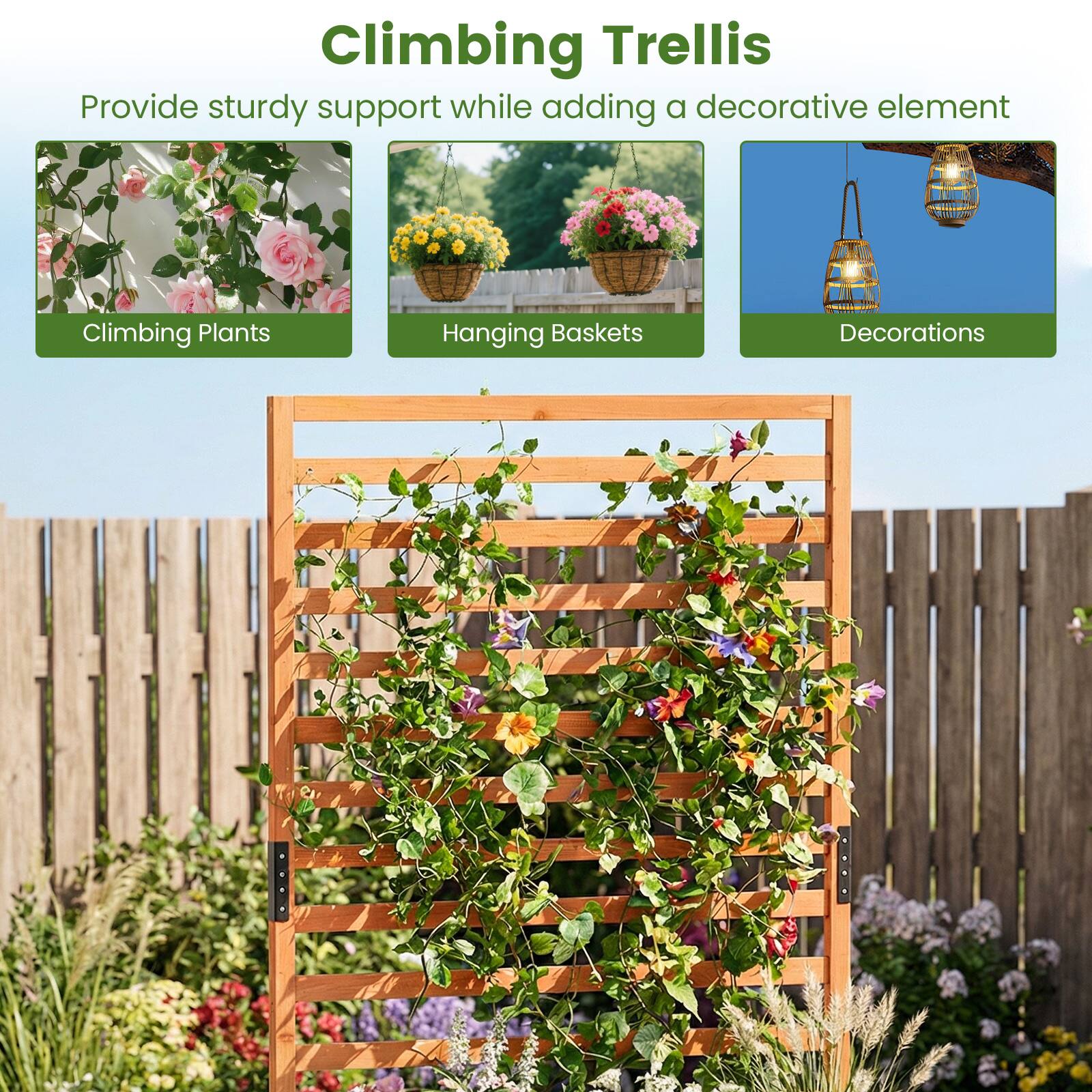 Climbing Trellis  
Provide sturdy support while adding a decorative element  

Climbing Plants  
Hanging Baskets  
Decorations