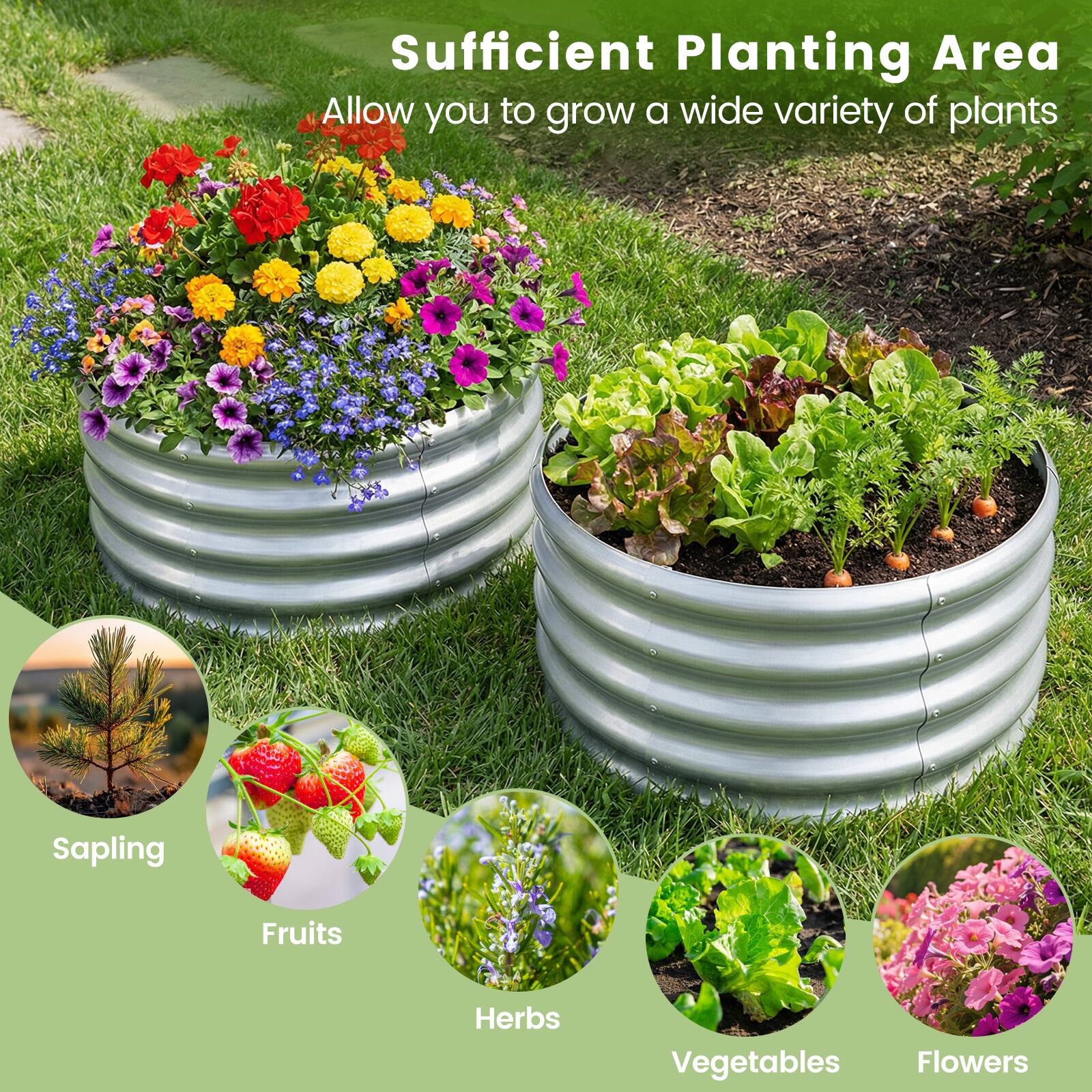 Sufficient Planting Area  
Allow you to grow a wide variety of plants  
- Sapling  
- Fruits  
- Herbs  
- Vegetables  
- Flowers