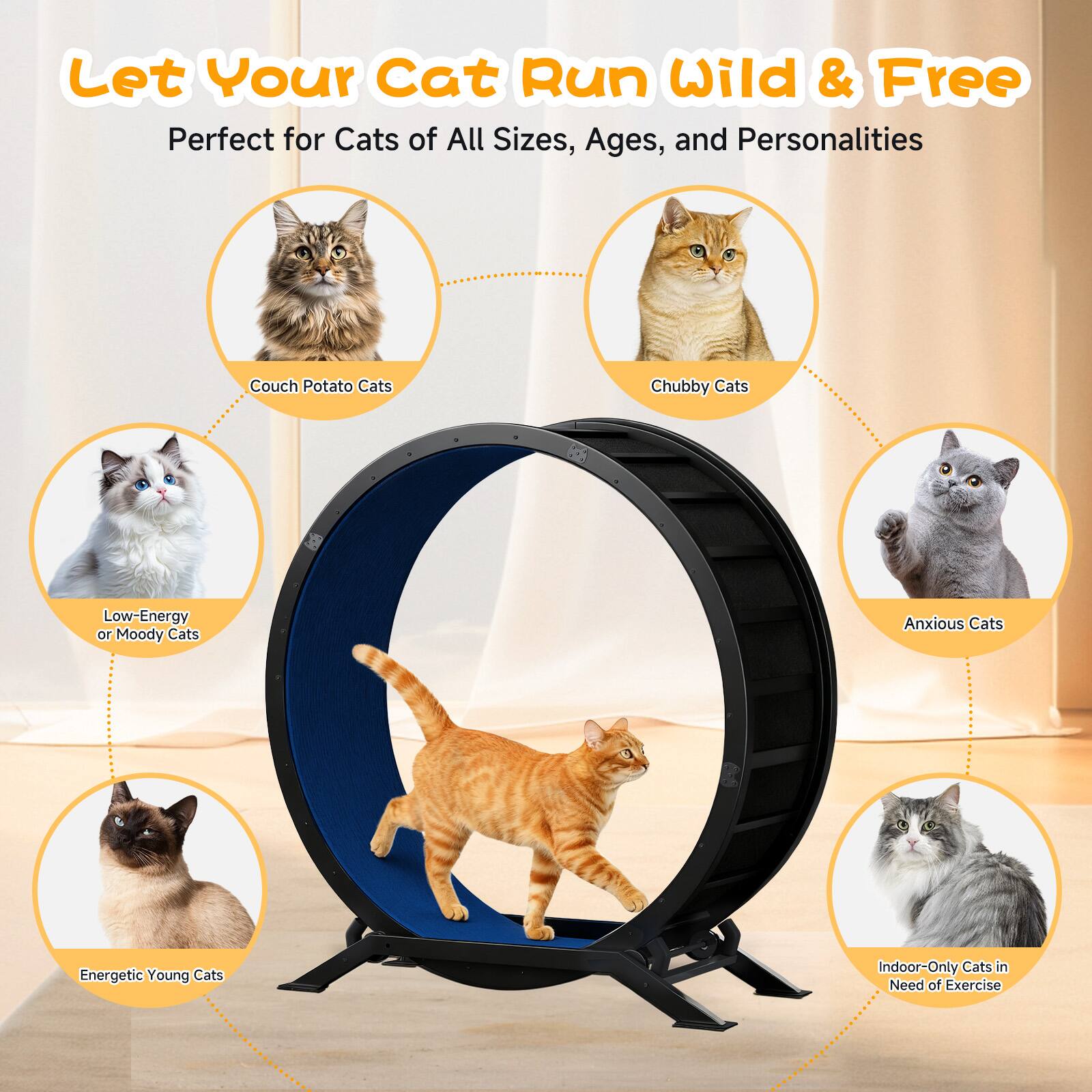 Let Your Cat Run Wild & Free  
Perfect for Cats of All Sizes, Ages, and Personalities  

- Couch Potato Cats  
- Chubby Cats  
- Low-Energy or Moody Cats  
- Anxious Cats  
- Energetic Young Cats  
- Indoor-Only Cats in Need of Exercise