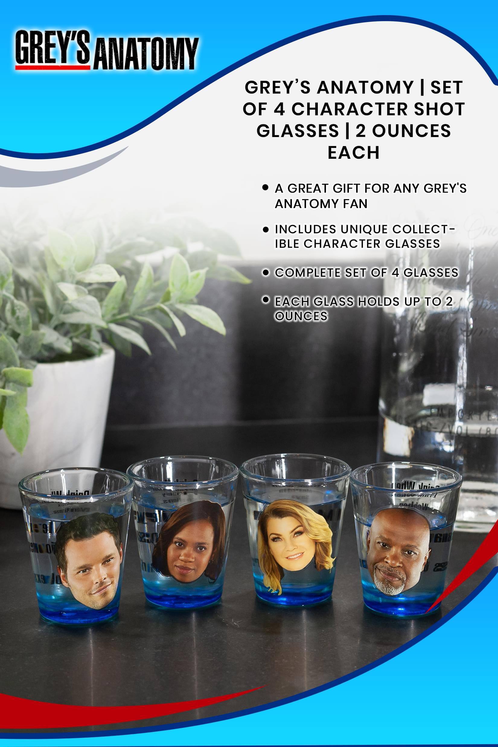 **GREY'S ANATOMY**

**GREY'S ANATOMY | SET OF 4 CHARACTER SHOT GLASSES | 2 OUNCES EACH**

- A GREAT GIFT FOR ANY GREY'S ANATOMY FAN
- INCLUDES UNIQUE COLLECTIBLE CHARACTER GLASSES
- COMPLETE SET OF 4 GLASSES
- EACH GLASS HOLDS UP TO 2 OUNCES
