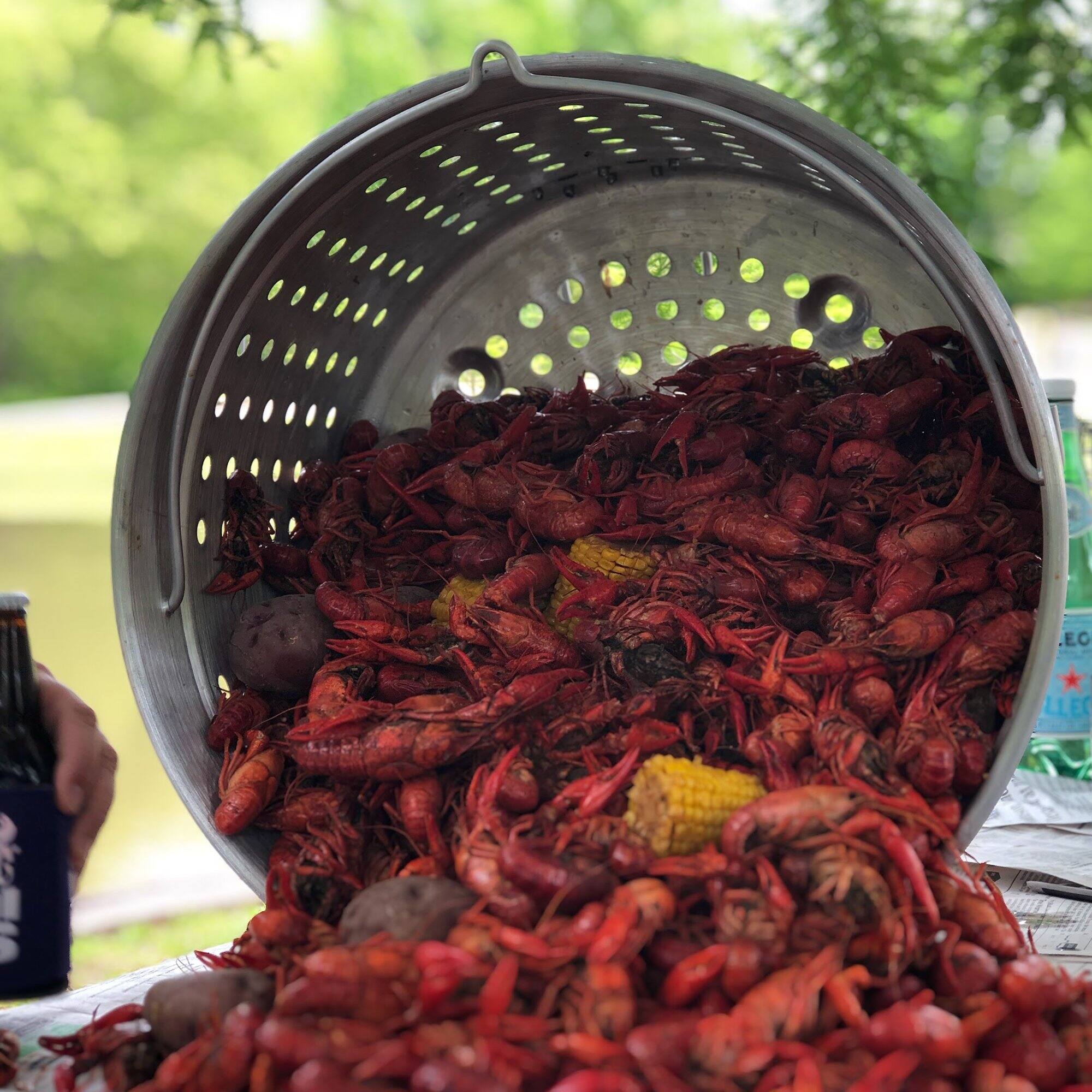 Alt View 1. Bayou Classic - Bayou Classic 62 Quart Stainless Steel Stockpot with Vented Lid, BC-1160, Silver - Silver.