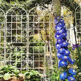 Loheer - Rustproof Metal Garden Trellis 4 Pack 7.2 ft x 1.6 ft Outdoor Climbing Plant Support - Cream White