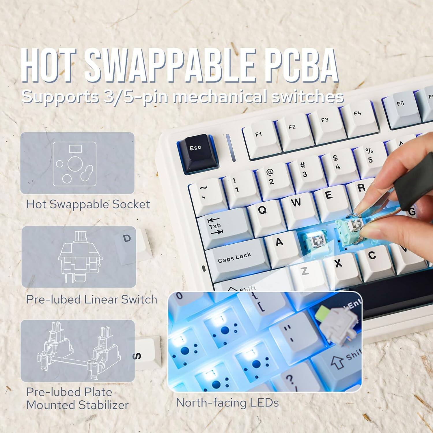HOT SWAPPABLE PCB

- Supports 3/5-pin mechanical switches
- Hot Swappable Socket
- Pre-lubed Linear Switch
- Pre-lubed Plate Mounted Stabilizer
- North-facing LEDs