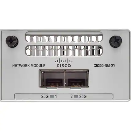 NETWORK MODULE
CISCO
C9300-NM-2Y
25G 1
2 25G