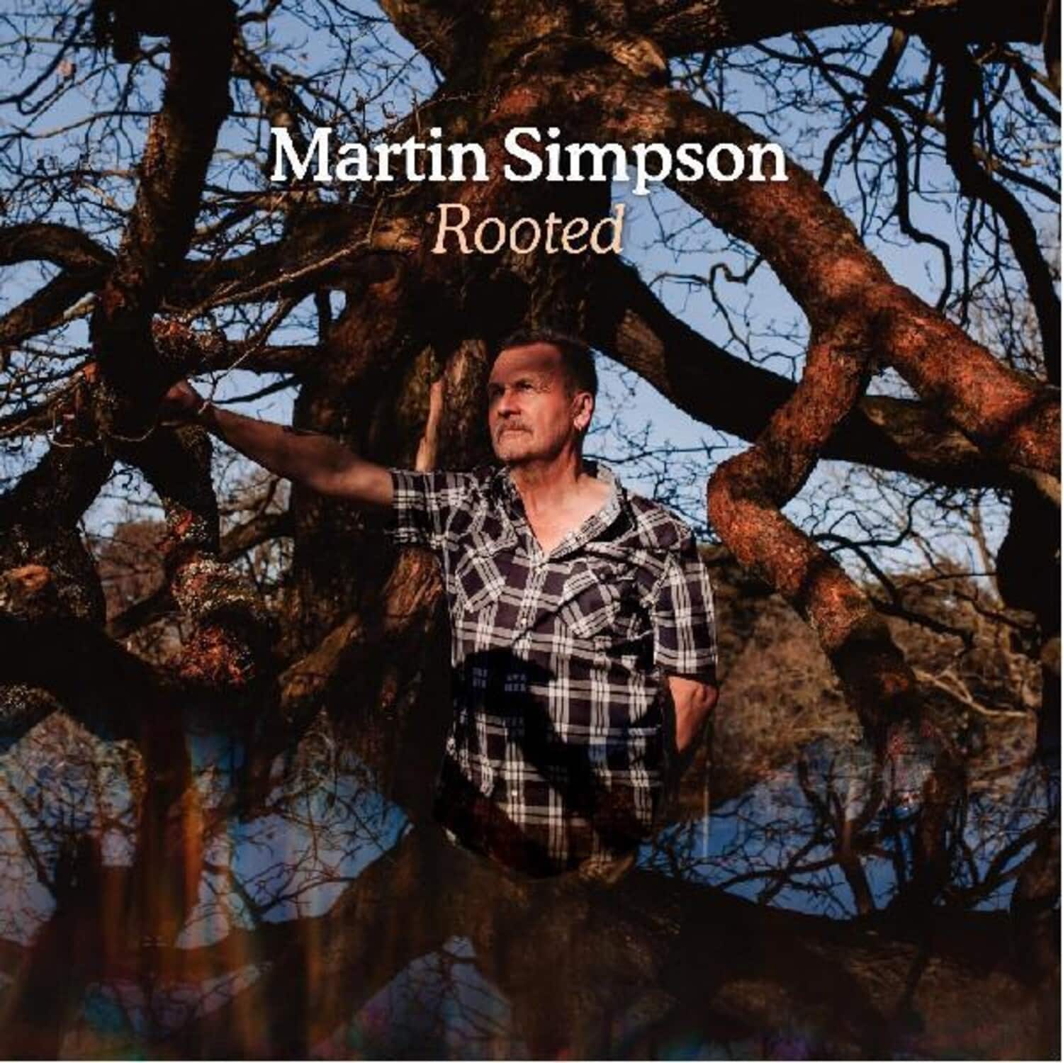 Martin Simpson - Rooted   - VINYL LP price history on PriceWatchPro