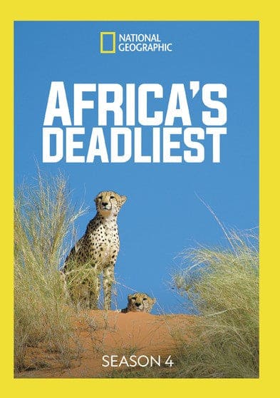 Africa's Deadliest Season 4 - DVD