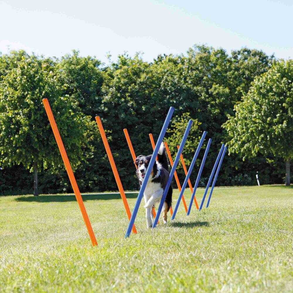 Alt View 3. TRIXIE - Dog Agility Slalom Set, 12 Piece Weaving Poles - Blue/Orange.