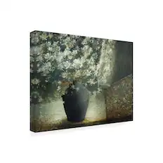 Front. Trademark Fine Art - Delphine Devos Floral Still Life Canvas Art - 47 x 35 Inches - 47x35 - Multicolor.