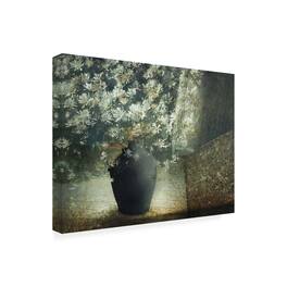 Trademark Fine Art - Delphine Devos Floral Still Life Canvas Art - 47 x 35 Inches - 47x35 - Multicolor