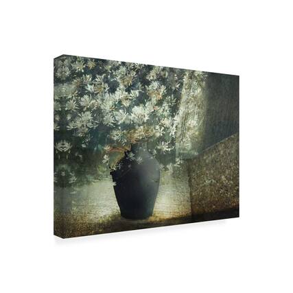 Front. Trademark Fine Art - Delphine Devos Floral Still Life Canvas Art - 47 x 35 Inches - 47x35 - Multicolor.