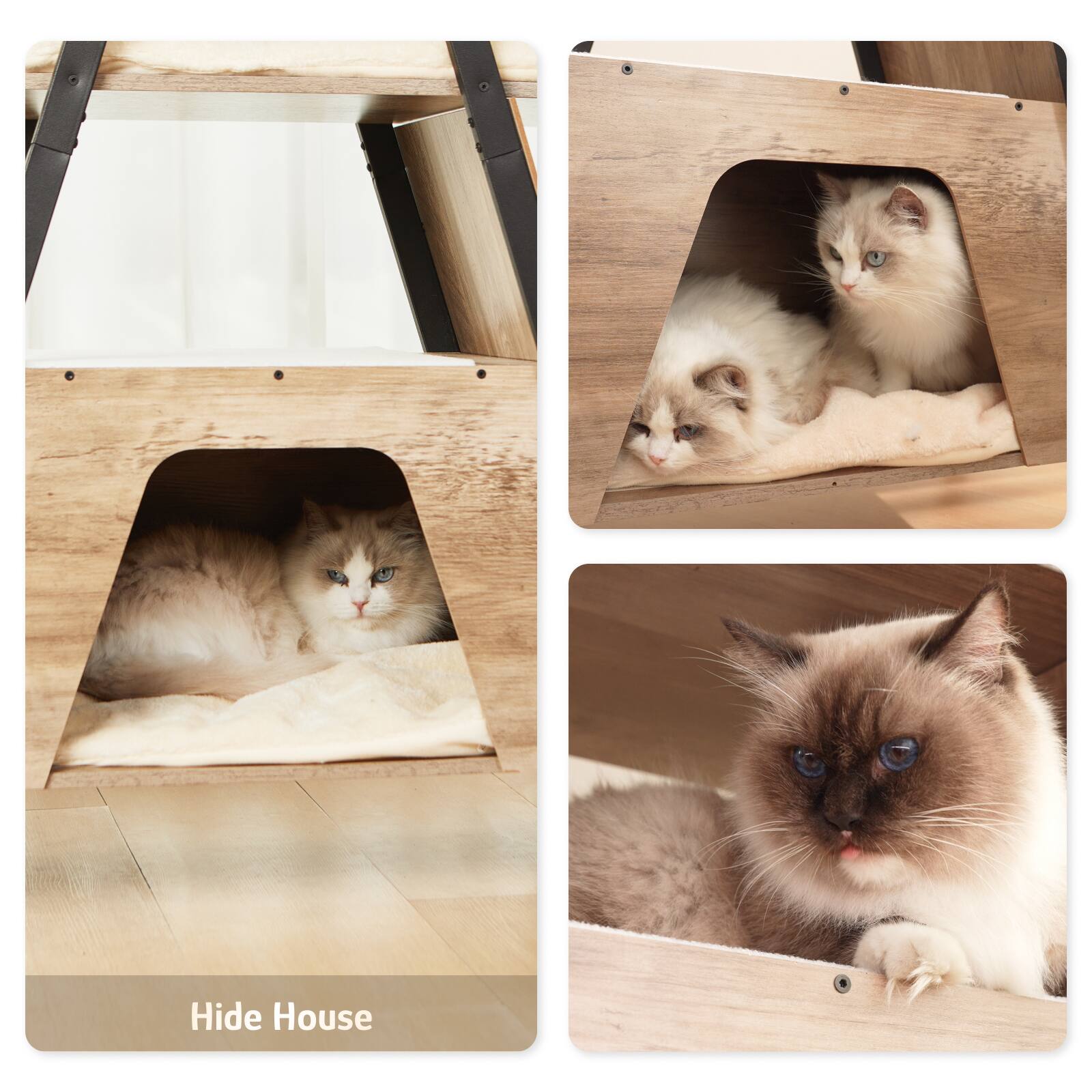 Hide House