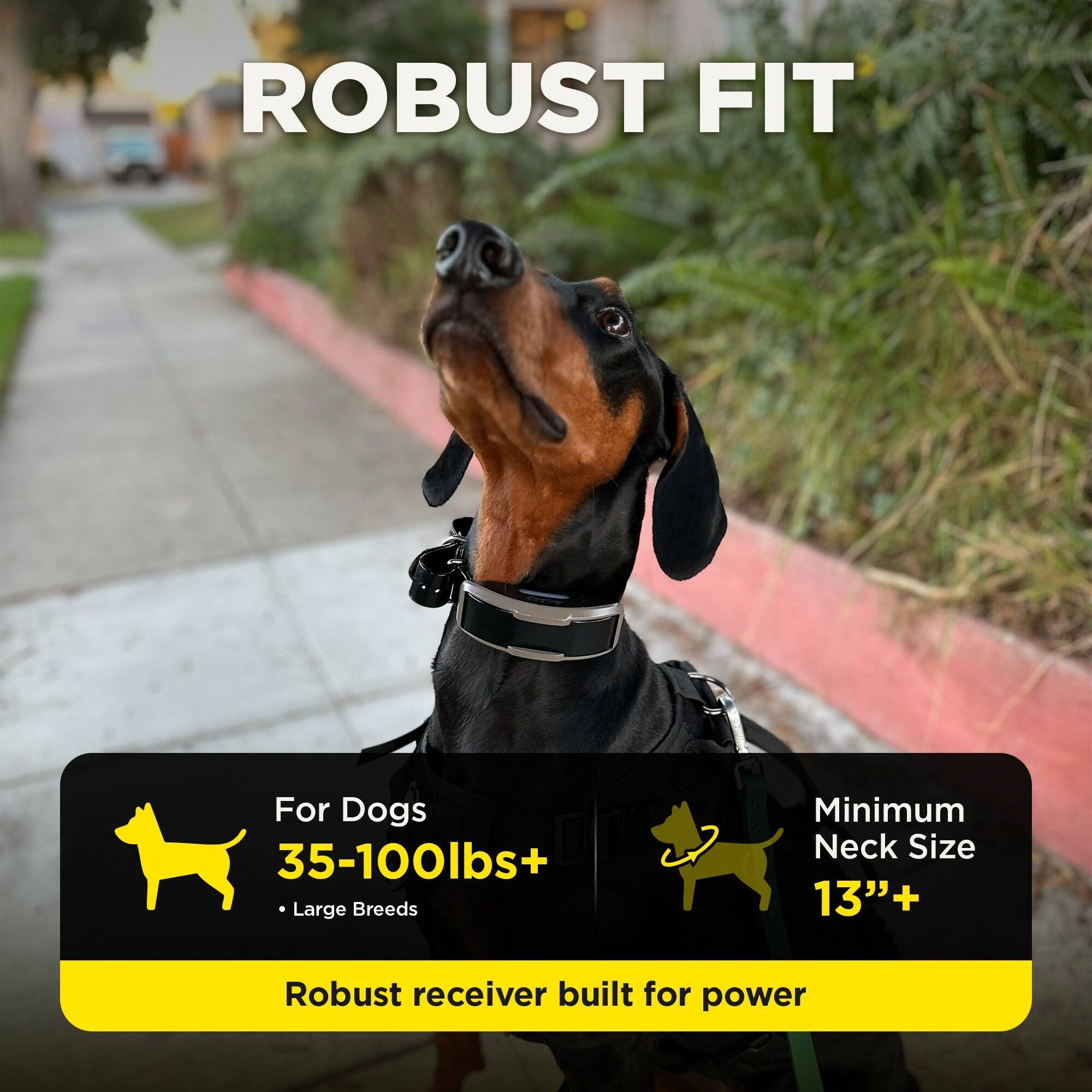 ROBUST FIT  
For Dogs 35-100lbs+  
Large Breeds  
Minimum Neck Size 13"+  
Robust receiver built for power