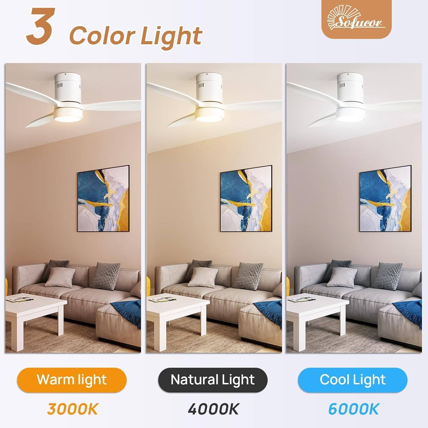 3 Color Light  
- Warm light 3000K  
- Natural Light 4000K  
- Cool Light 6000K