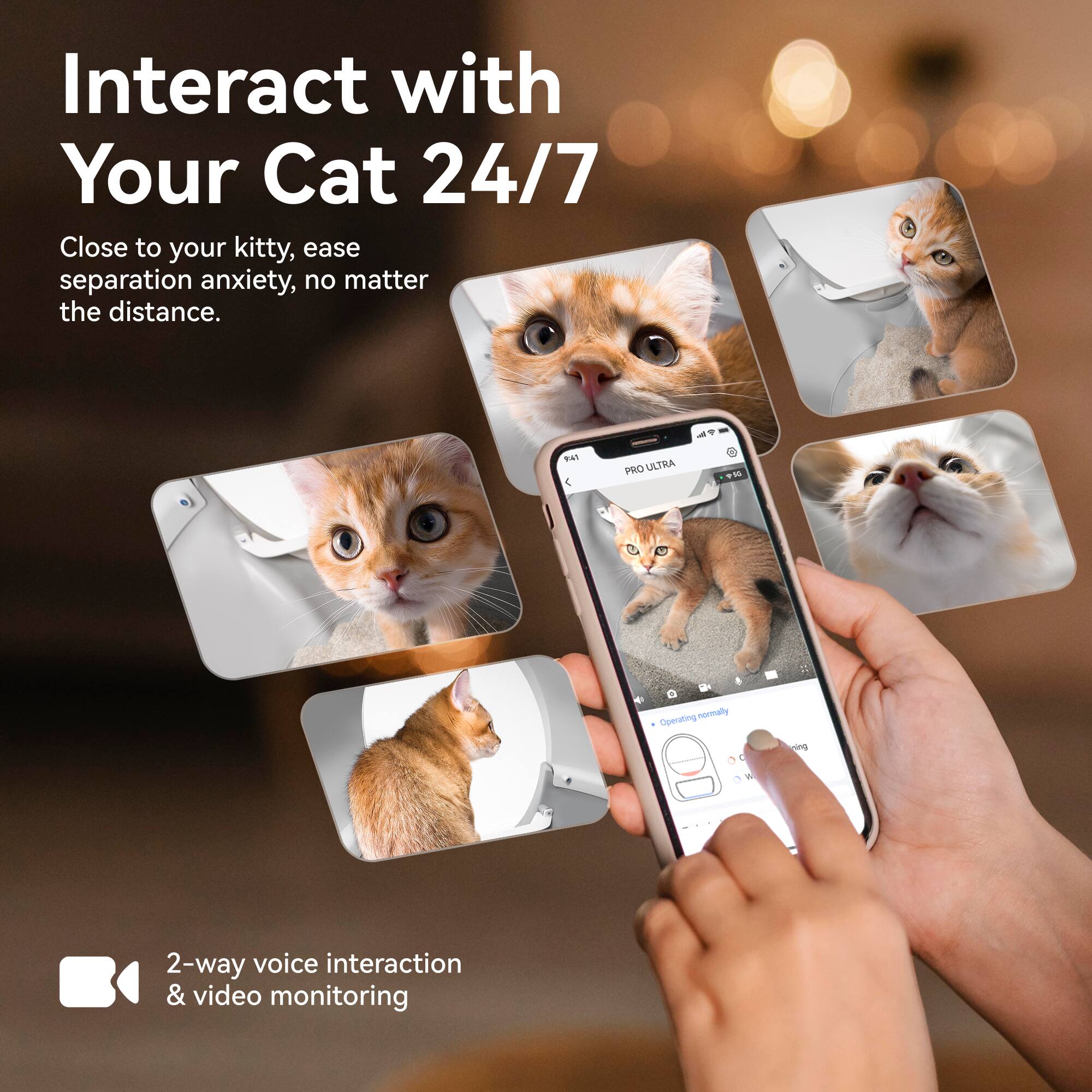 Interact with Your Cat 24/7

Close to your kitty, ease separation anxiety, no matter the distance.

4T 4 PRO ULTRA

8 Operating normally ping

2-way voice interaction & video monitoring