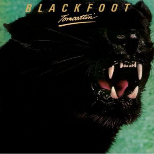 BLACKFOOT  
Tonicattin